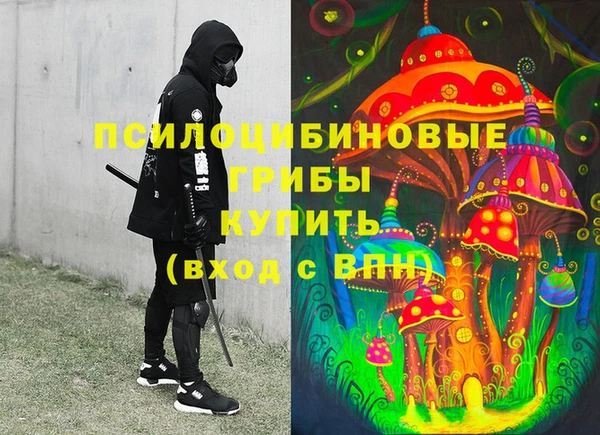 МДПВ Белокуриха